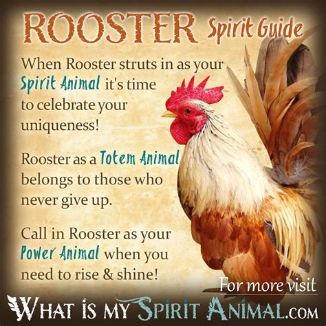 The ROOSTER SPIRIT ANIMAL Ultimate Guide (Meanings & Symbolism)