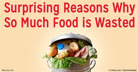 The Real Reason Food Isn