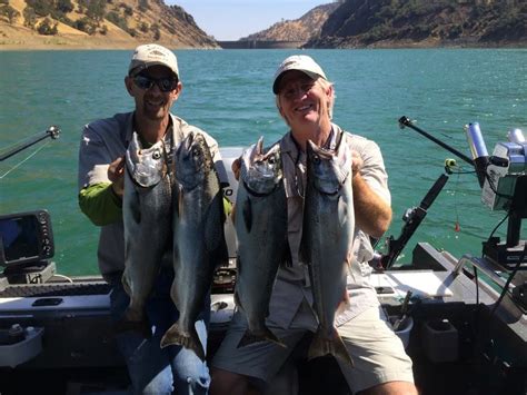 The Reel Life: Seven-pound king salmon caught in Berryessa