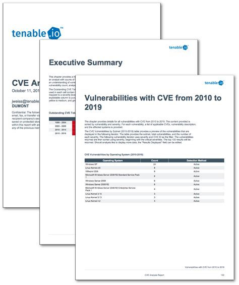 The Reports of CVE