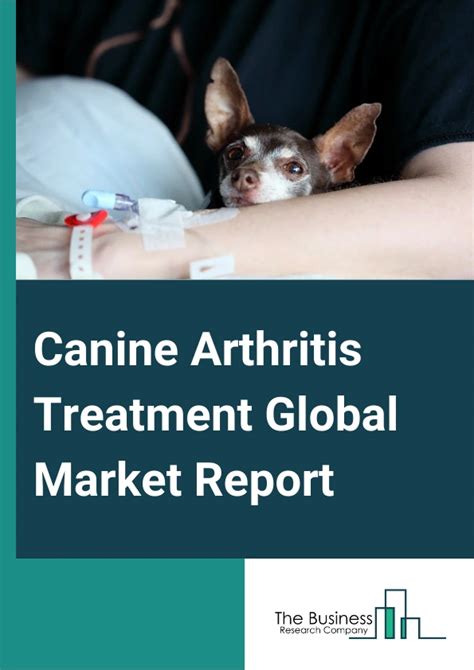 The Rise of Canine Arthritis Treatment Market Report …