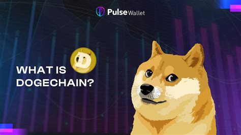 rise dogechain ecosystem