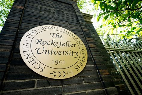 The Rockefeller University &raquo; Titia de Lange - Our Scientists