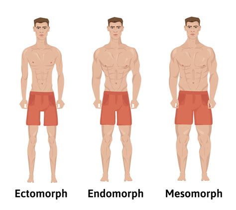 The Role Of Genetics In Fitness