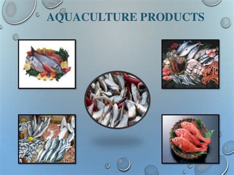 The Role of Aquaculture in Rural Development - Food and …