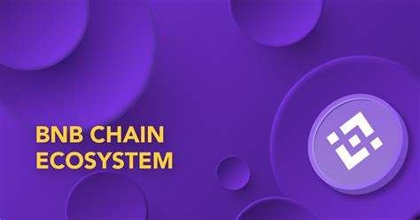 The Role of BNB in the BNB Chain Ecosystem