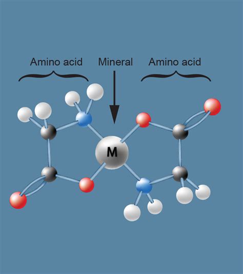 The Role of Chelating Agents and Amino Acids in