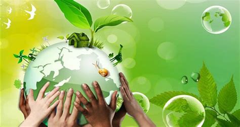 The Role of Environmental Awareness and Green