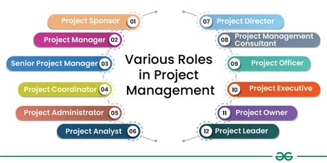 The Role of IBM in the Project