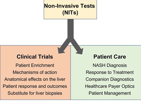 The Role of Noninvasive Tests for Differentiating NASH From ... - PubMed