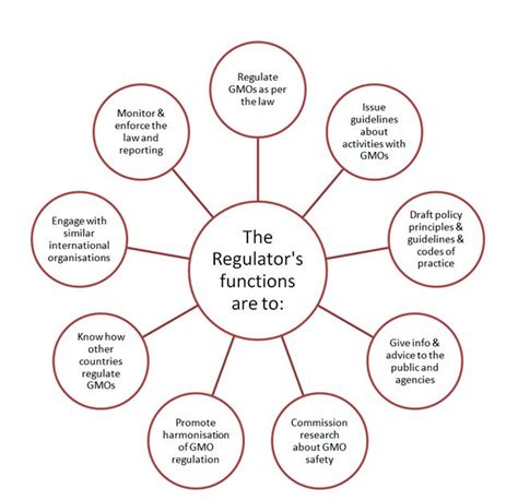 The Role of Regulators in Maintaining Stability