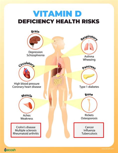 The Role of Vitamin D Deficiency in Thyroid Disorders