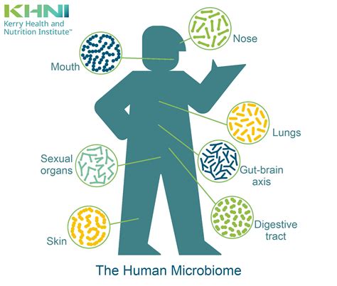 The Role of the Skin Microbiome in Health and Disease