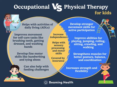 The Roles of Occupational Therapy, Physical Therapy, and …