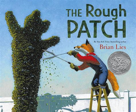 The Rough Patch - Bookelicious