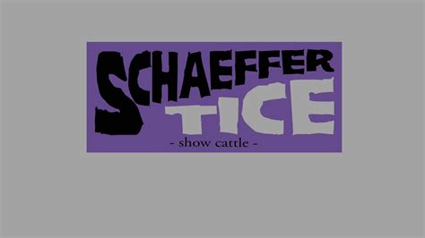 The Schaeffer Tice