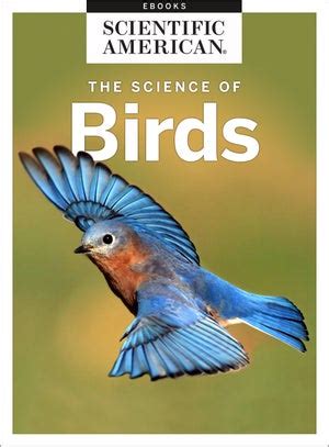 The Science of Birds - Scientific American