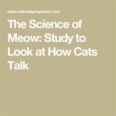 The Science of Meow: Study to Look at How Cats Talk National …