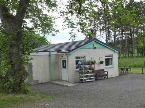 The Scots Pine Tearoom & Restaurant - Edleston Food & Drink