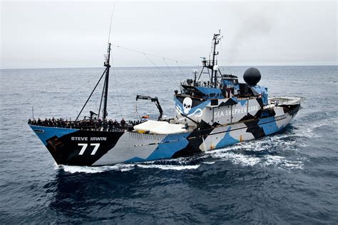 The Sea Shepherd