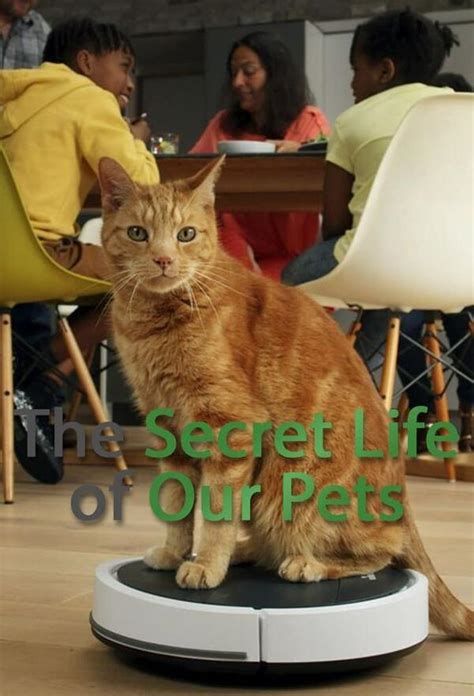 The Secret Life of Our Pets Season 1 - Trakt