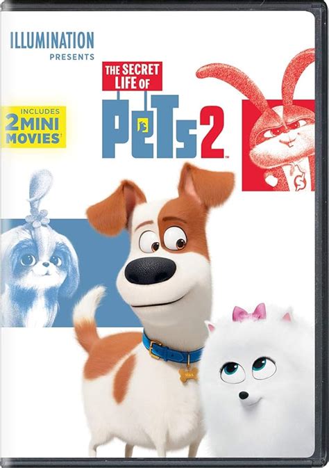 The Secret Life of Pets 2 [DVD] - amazon.com