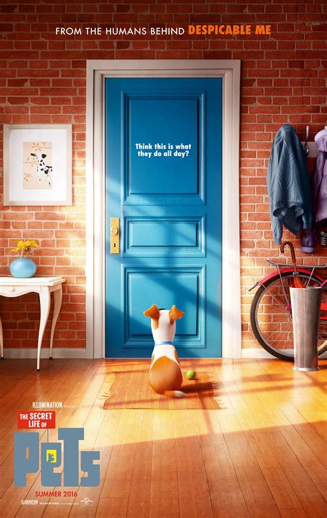 The Secret Life of Pets Despicable Me Wiki Fandom