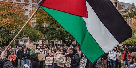 The Senate Condemns Student Groups as Backlash to Pro-Palestinian Speech Grows