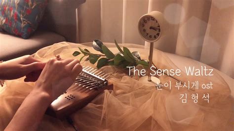 The Sense Waltz [kalimba cover] - YouTube