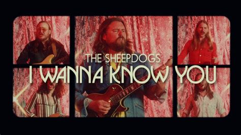 The Sheepdogs - Here I am (Official Visualizer) - YouTube