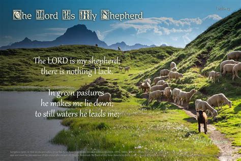 The Shepherd on the Path – Psalm 23 Ray Fowler .org