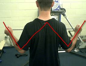 The Shoulder W Exercise - Mike Reinold Optimize Movement