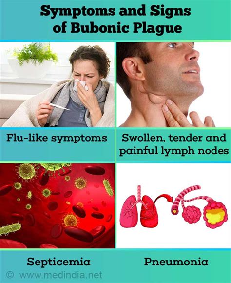 The Signs And Symptoms Of Bubonic, Pneumonic, And Septicæmic Plague