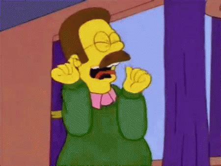 The Simpsons Ned Flanders Scream GIF GIFDB.com