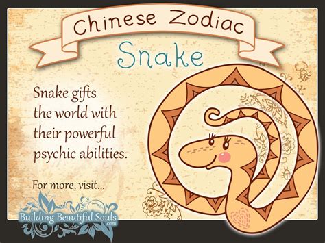 The Snake in Chinese Horoscope. Characteristics and elements WeMystic