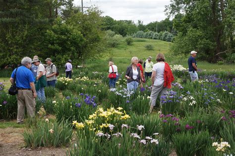 The Society for Siberian Irises