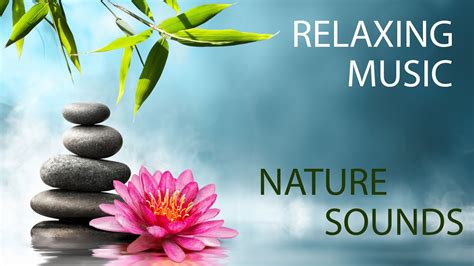 The Sounds Of Nature by NEW AGE/MEDITATION /RELAXAT.