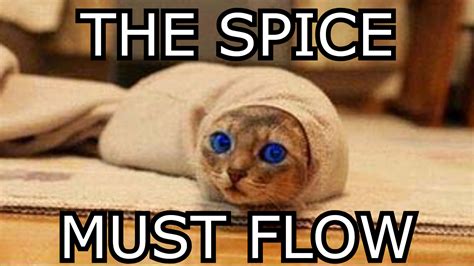 The Spice Must Flow - Meme Generator