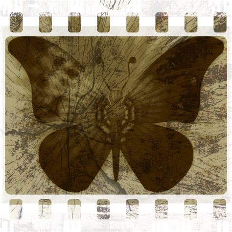 The Spider and the Butterfly – lanier.commons.msu.edu