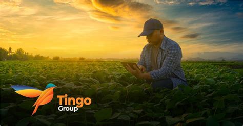 The Stars are Aligning for Holders of Tingo Group Inc. (TIO)