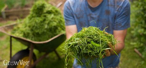 The Story of Grass Clippings