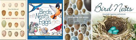 The Story of O(ology) - American Ornithological Society