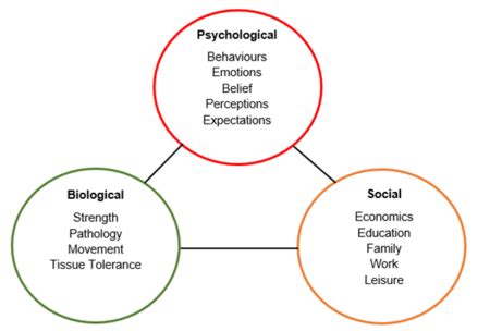 The Stress Response Following Serious Injury or Illness: A ...