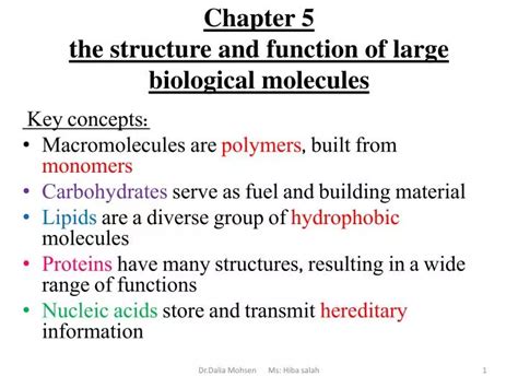The Structure and Function of Large Biological Molecules