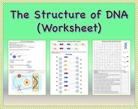 The Structure of DNA Worksheet Printable and Distance Learning