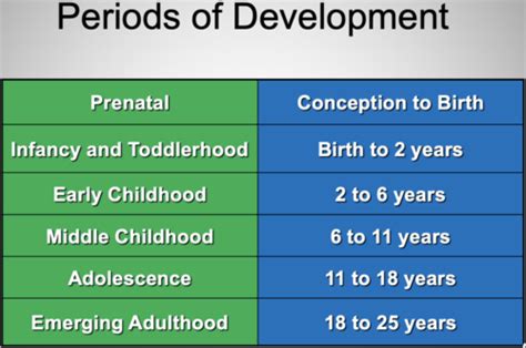 The Study of Human Development Flashcards Quizlet