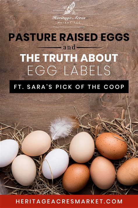 The Surprising Truth Behind "Pasture-Raised" Eggs