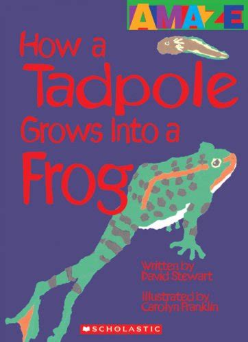 The Tadpole and the Frog Ebook au format ePub à télécharger