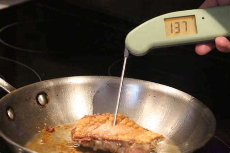 The Temperature of Duck Breast When Done - Thermo …