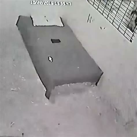 codini.rgarabwor.edu.pl. 